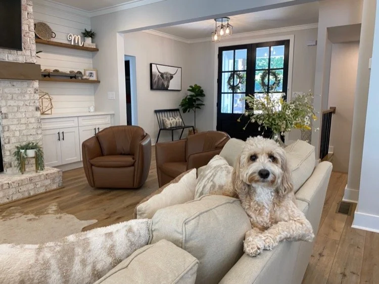 Living room with a light-colored sofa, a dog resting on the armrest, two brown armchairs, a fireplace with a white brick surround, shelves with decor, a black framed picture of a deer, large window with wreaths, and a vase of flowers on the sofa.