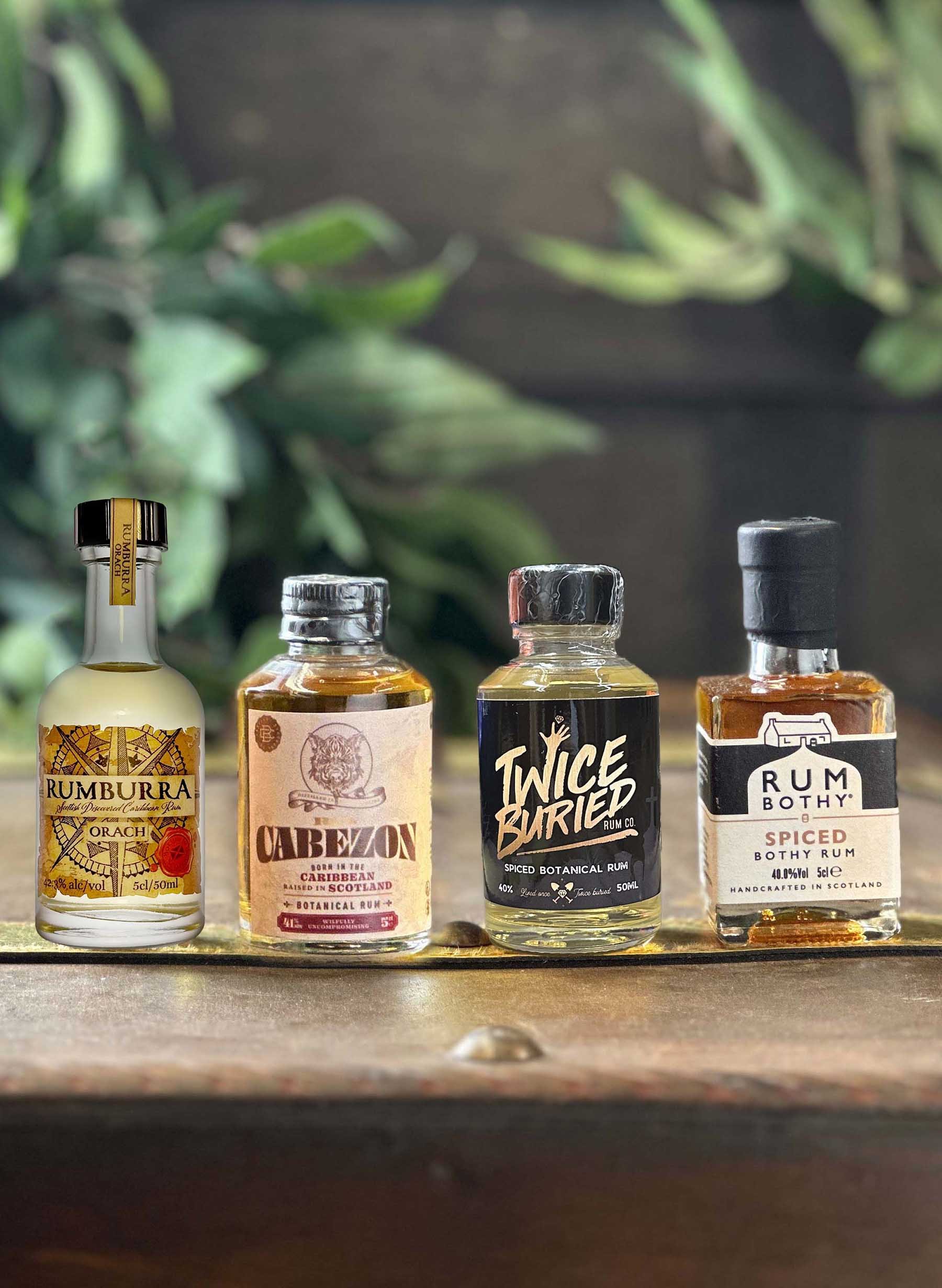 The Ultimate The Gift Box Rum | - | Online Rum Rum (12x50ml) Sets The Buy Gift Subscription — Company - Rum Rum Company