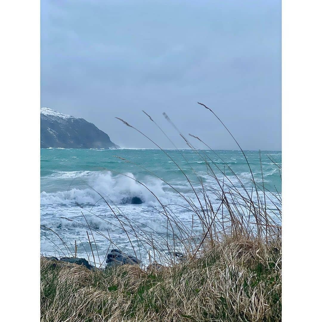 Vilt og vakkert p&aring; Revikja i dag 🌊

Foto @livhildegotteberg