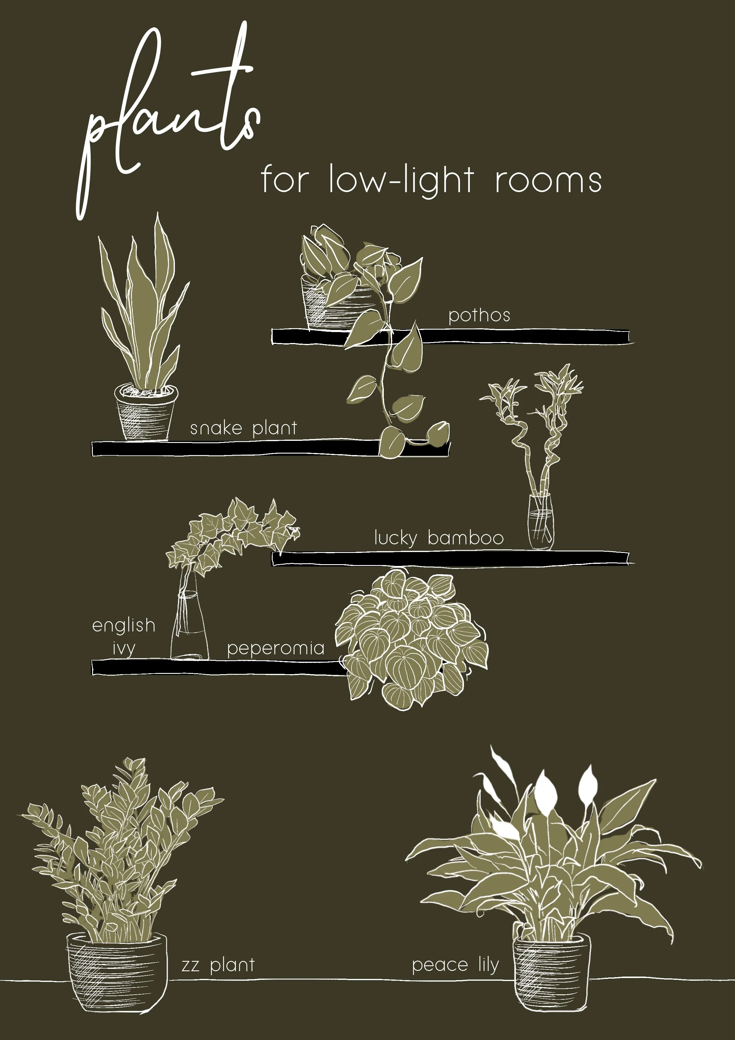 The Best Rooms for Your Indoor Plants — binnekant interior plant styling