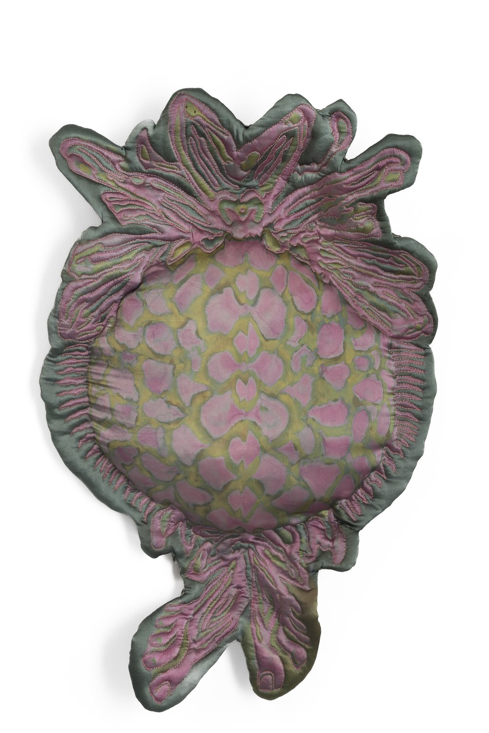 scabiosa with toes.jpg