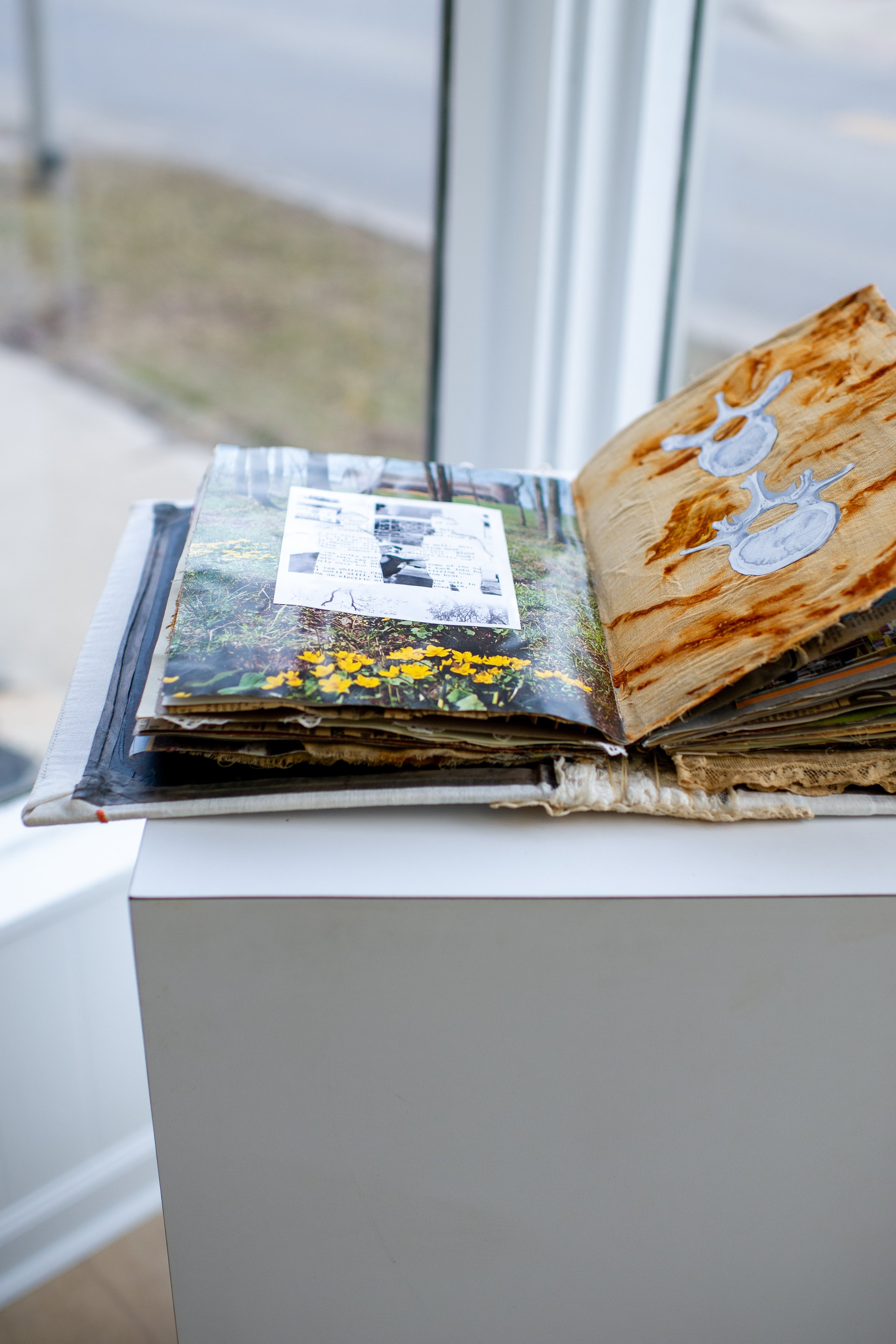 Collected-33.jpg