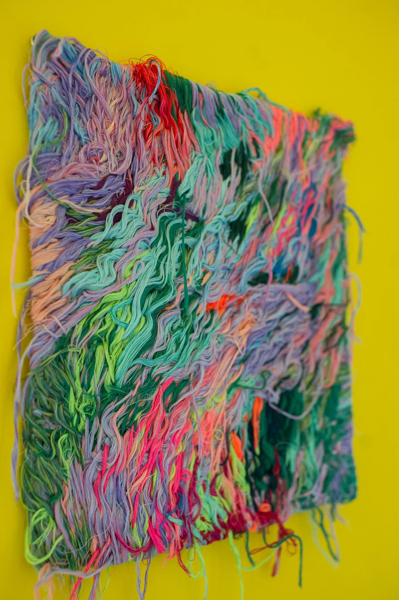 DSC_5717.jpg