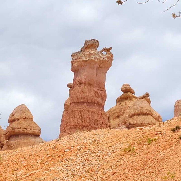 Bryce Canyon Qi Gong!
I swear this hoodoo looks like a Daoist nun saluting Xu&aacute;nwǔ, the symbol of Wudang (turtle and snake)&hellip;.maybe the heat got to my head! What do you think?
https://youtu.be/hNQOg0cu_YE
https://youtu.be/arMg4ZSBYlc
#tra
