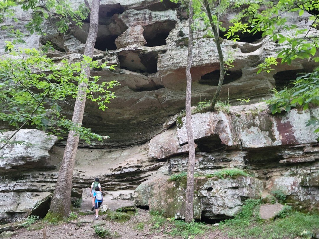 Qi gong in the Ozarks! See videos
qimethods.com/episodes/episode-02-the-ozarks