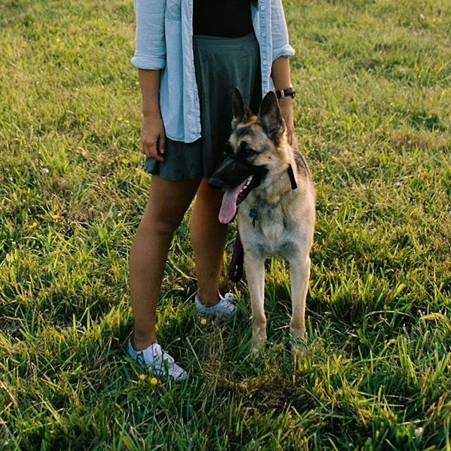 The roots of Venture Dog Walking can be placed immediately and directly back to this sweet girl. When my work days were long and I felt constantly sad I had to be away from her.
.
We know what it is like to wish you could be in two places at once. We