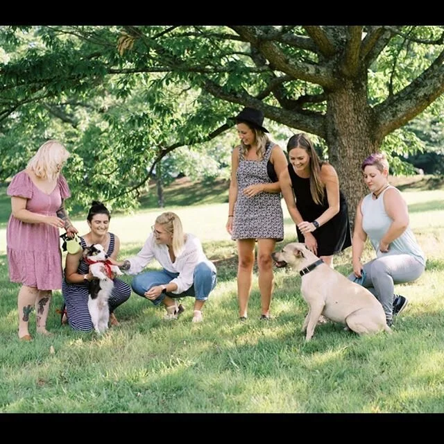 If you&rsquo;ve been out somewhere in Winston and someone goes &ldquo;omg I&rsquo;m sorry but can I pet your dog??&rdquo; there is a high chance that at least once that was probably a member of our team. 😂😍❤️
.
.
We know what we&rsquo;re about. 🐾
