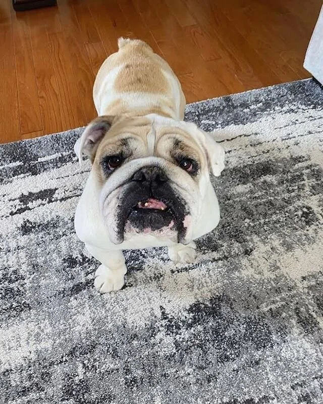 UM HI 😍❤️ look at this sweet girl!