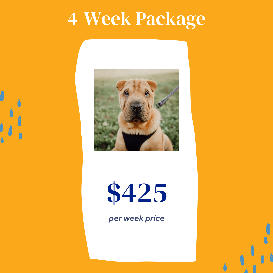 Dog Walking Prices