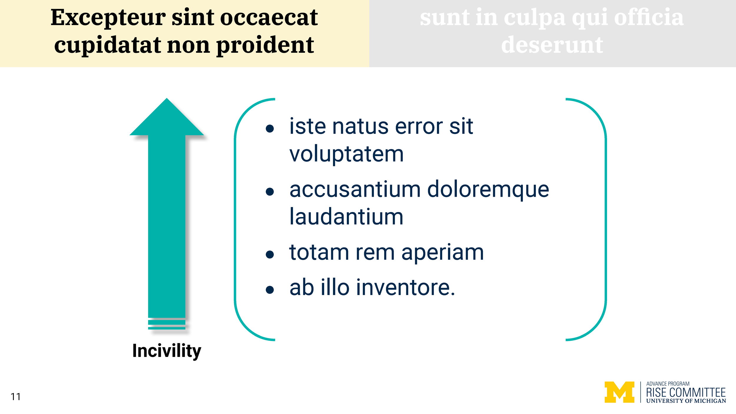 RISE slide deck.pptx_Page_11.png