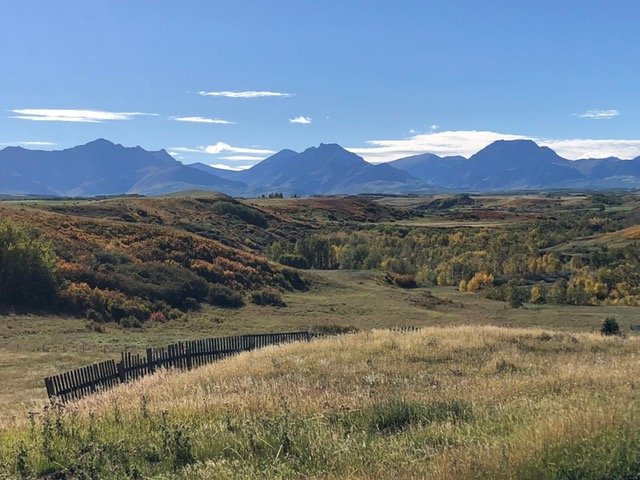 fall-in-alberta-7.jpeg