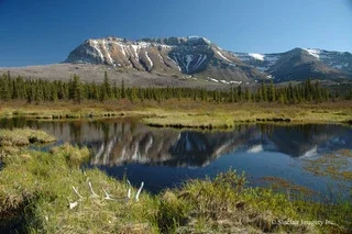 Mountain peak reflected in a peaceful alpine pond surrounded by forests and open meadows in Glacier National Park.