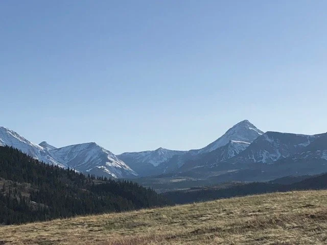 Grassy field leading to a distant mountain range under a clear sky.