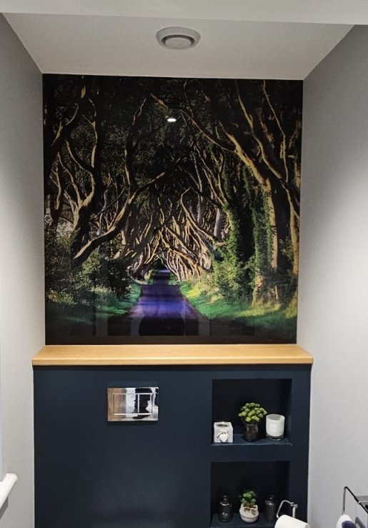 Custom printed Dark Hedges Glass Splashbacks Northern Ireland