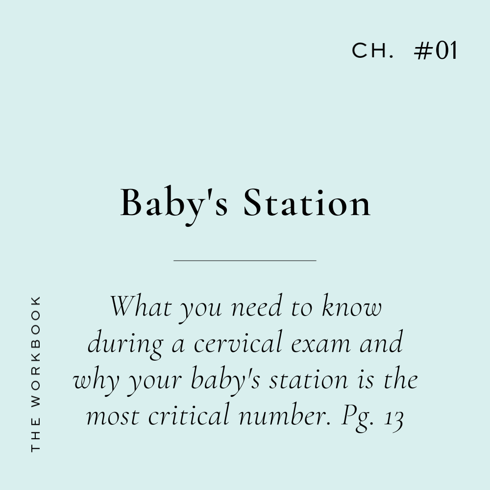 SPED: Baby's Station, Position, Effacement &amp; Dilation