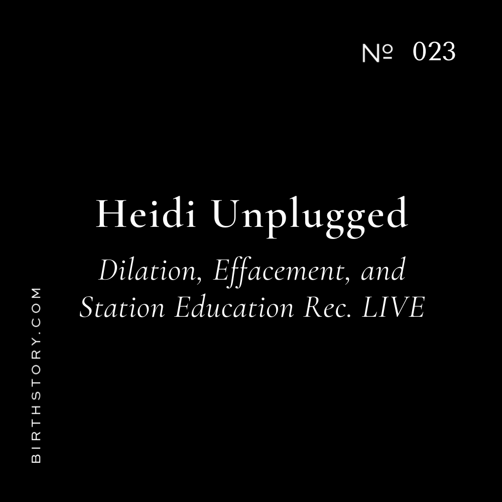 23 Recorded Live From She Podcasts Convention; Dilation, Effacement, and Station Education With Heidi