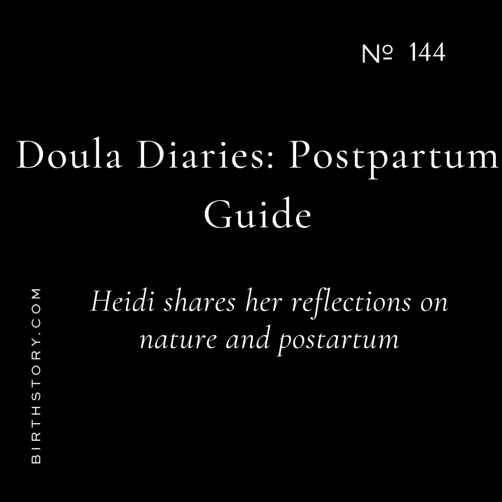 144 Doula Diaries: The Best Postpartum Guide &amp; Mama Moose