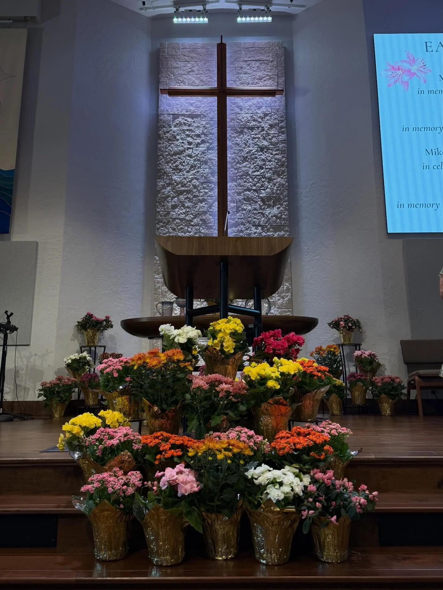 What will we be like in the resurrection?

This Sunday, we&rsquo;re exploring a powerful image from 1 Corinthians 15:
a seed that&rsquo;s buried&hellip; and raised to something new.

What feels like an ending isn&rsquo;t the end.
God transforms it.

