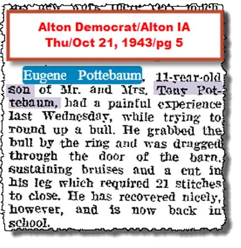 1943 Pottebaum Eugene dragged by a bull Oct 21.jpg