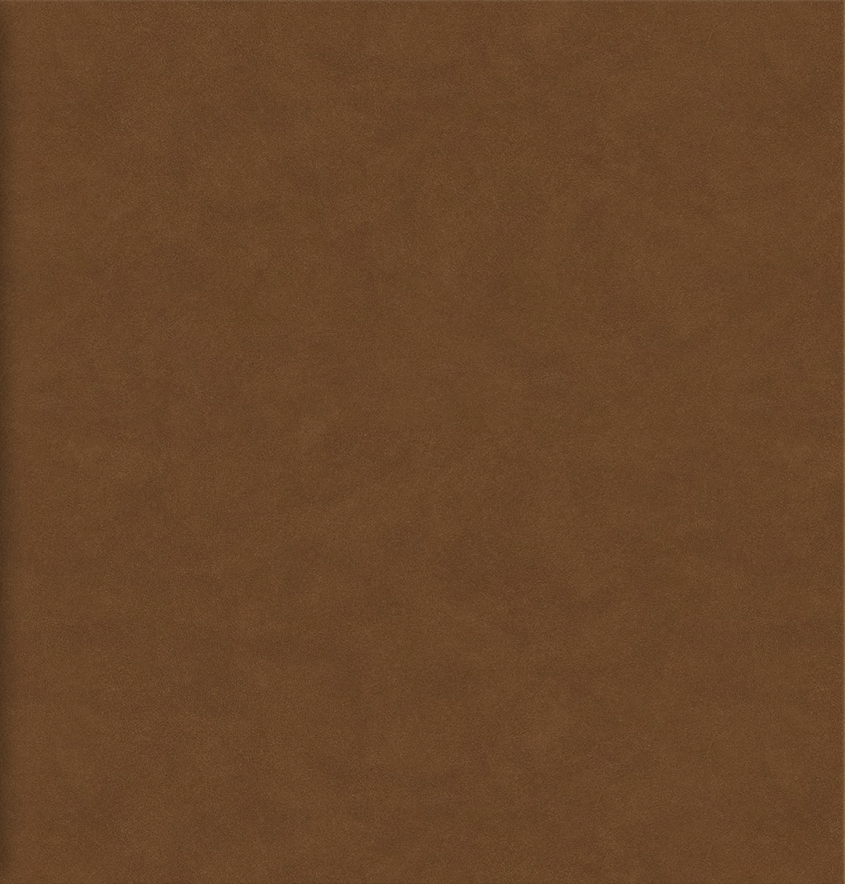 Photo Album Vintage Leather Saddle.png