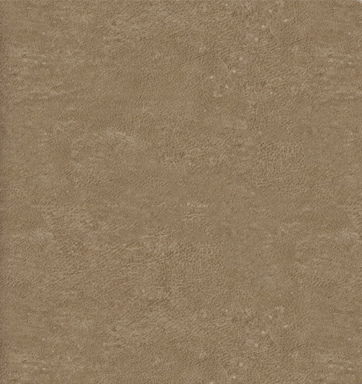 Photo Album Distressed Honey Leather.png
