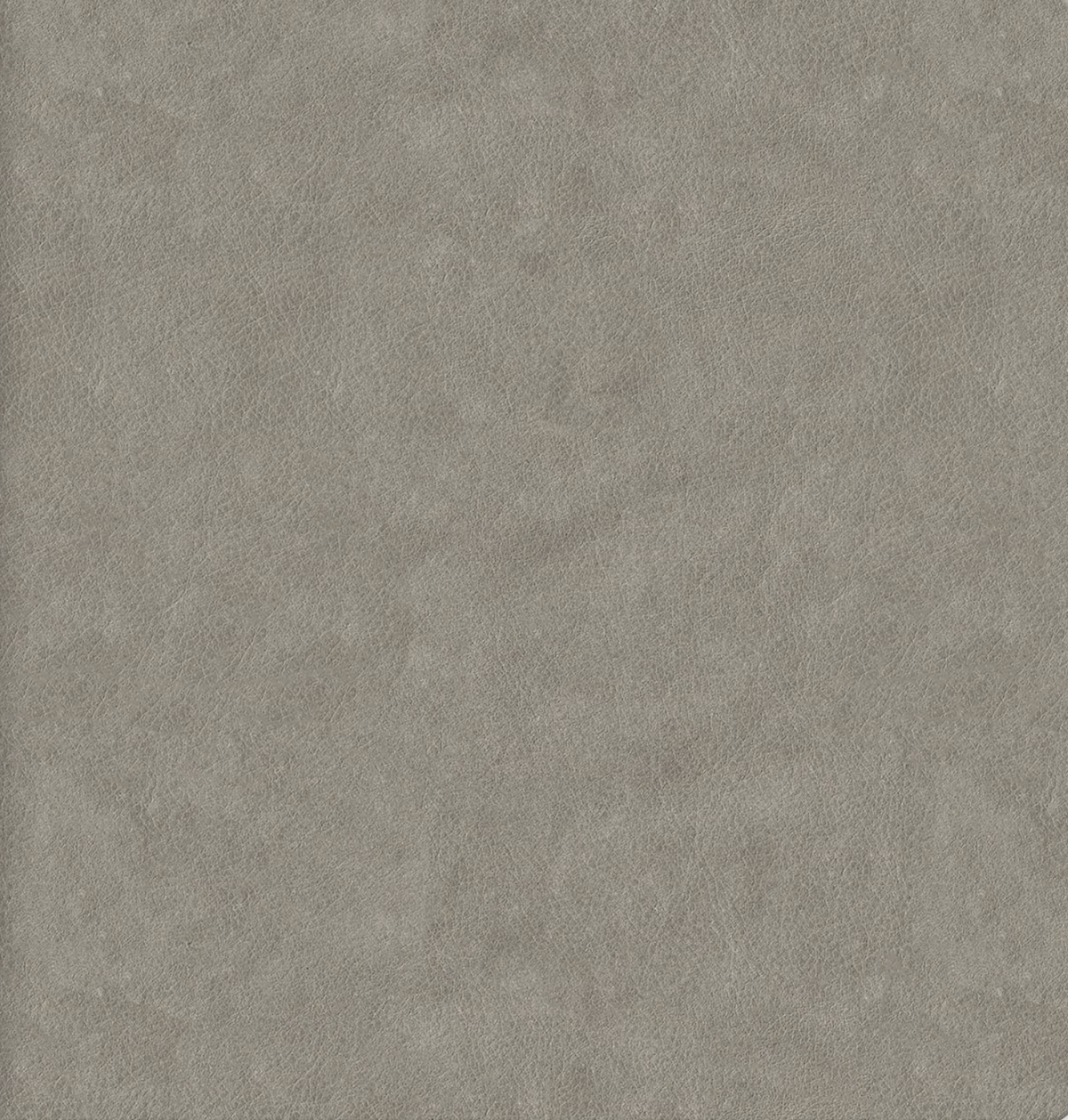 Photo Album Distressed Stone Leather.png