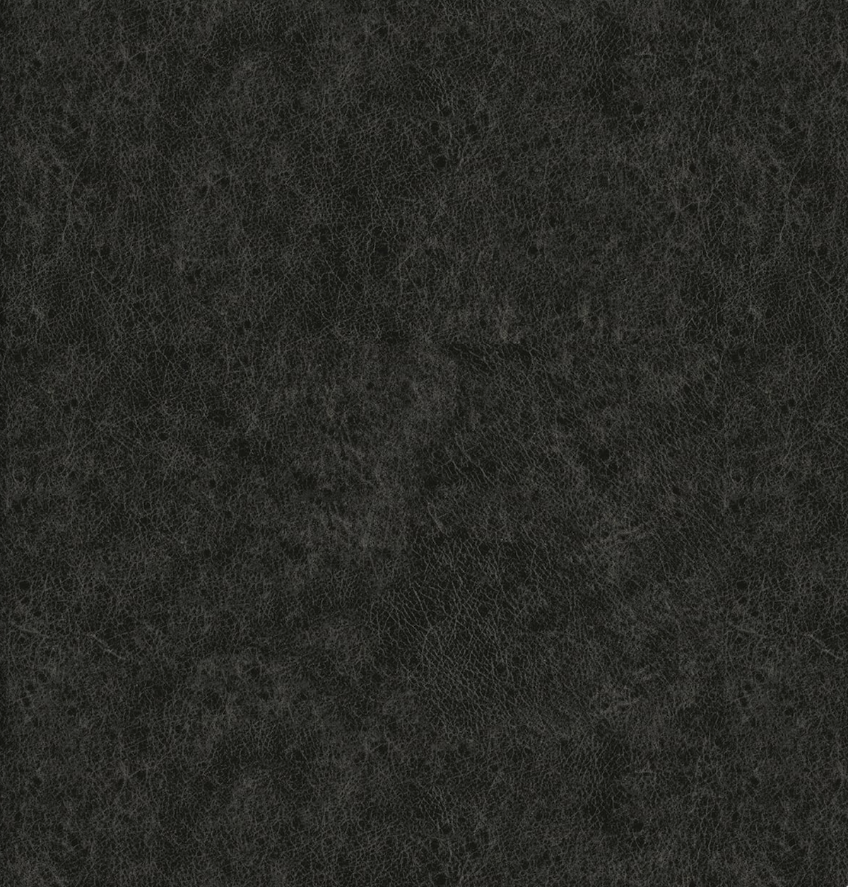 Photo Album Distressed Coal Leather.png