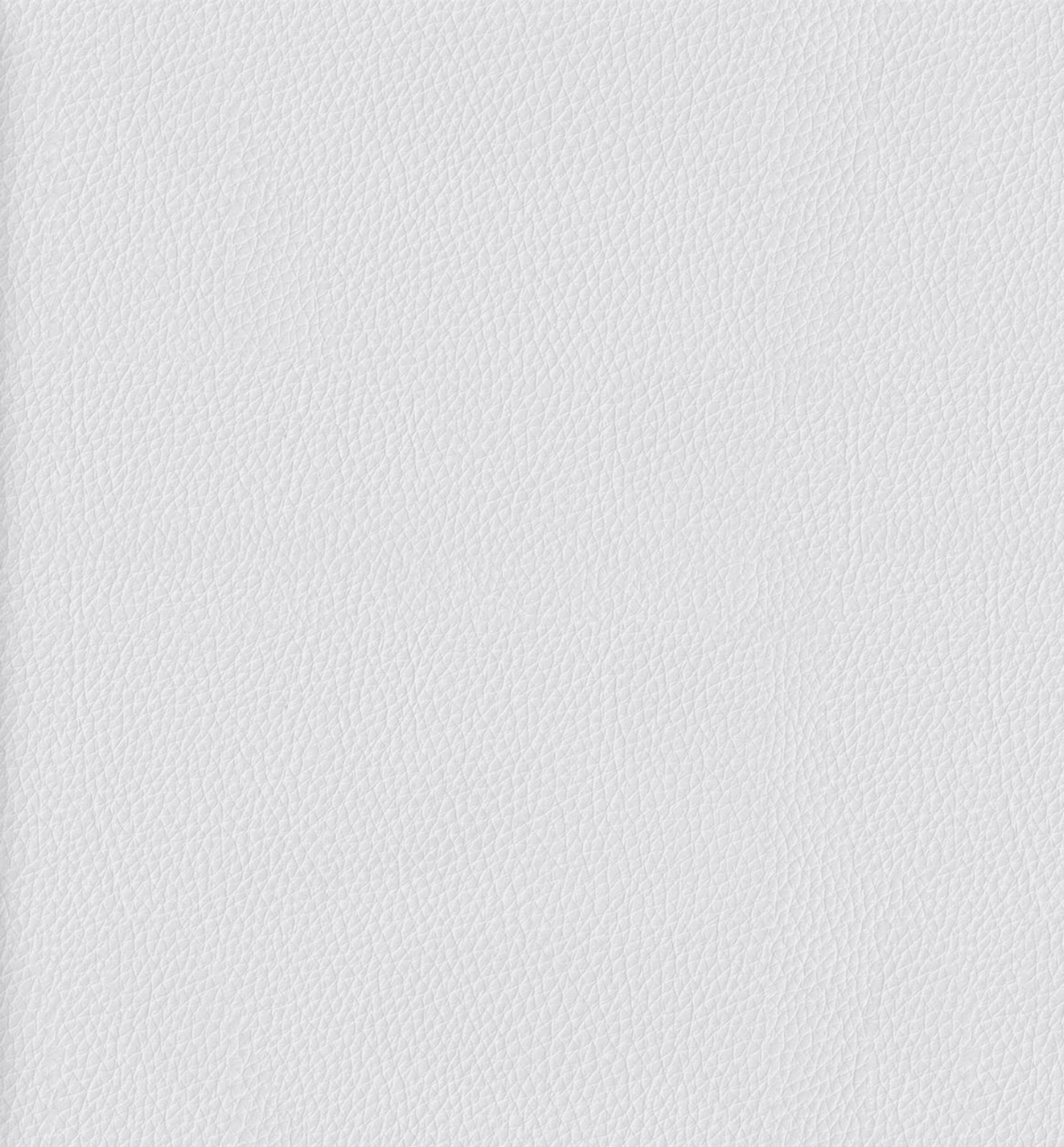 Photo Album Premium White Lether.png