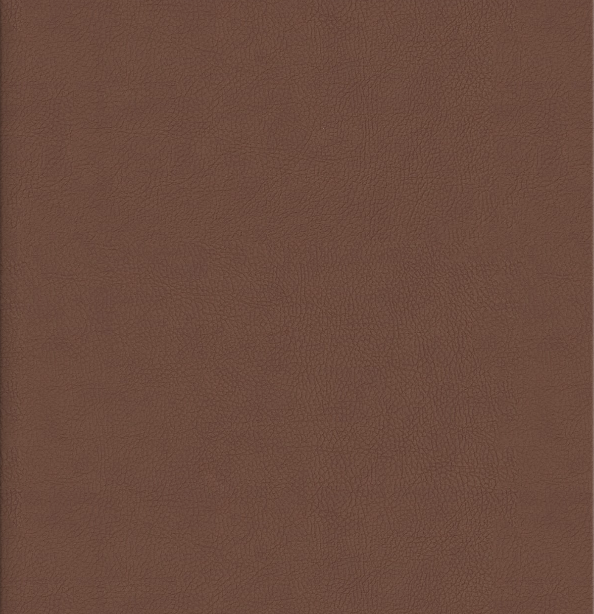 Photo Album Leatherette Camel.png