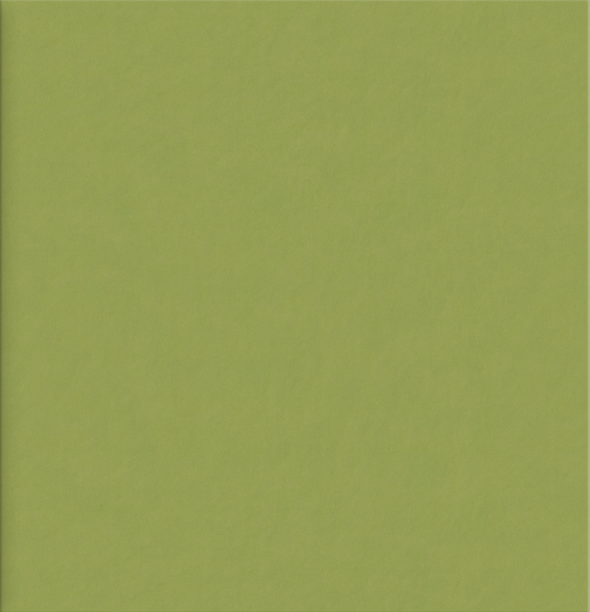Photo Album Faux Leather Lime Green.png