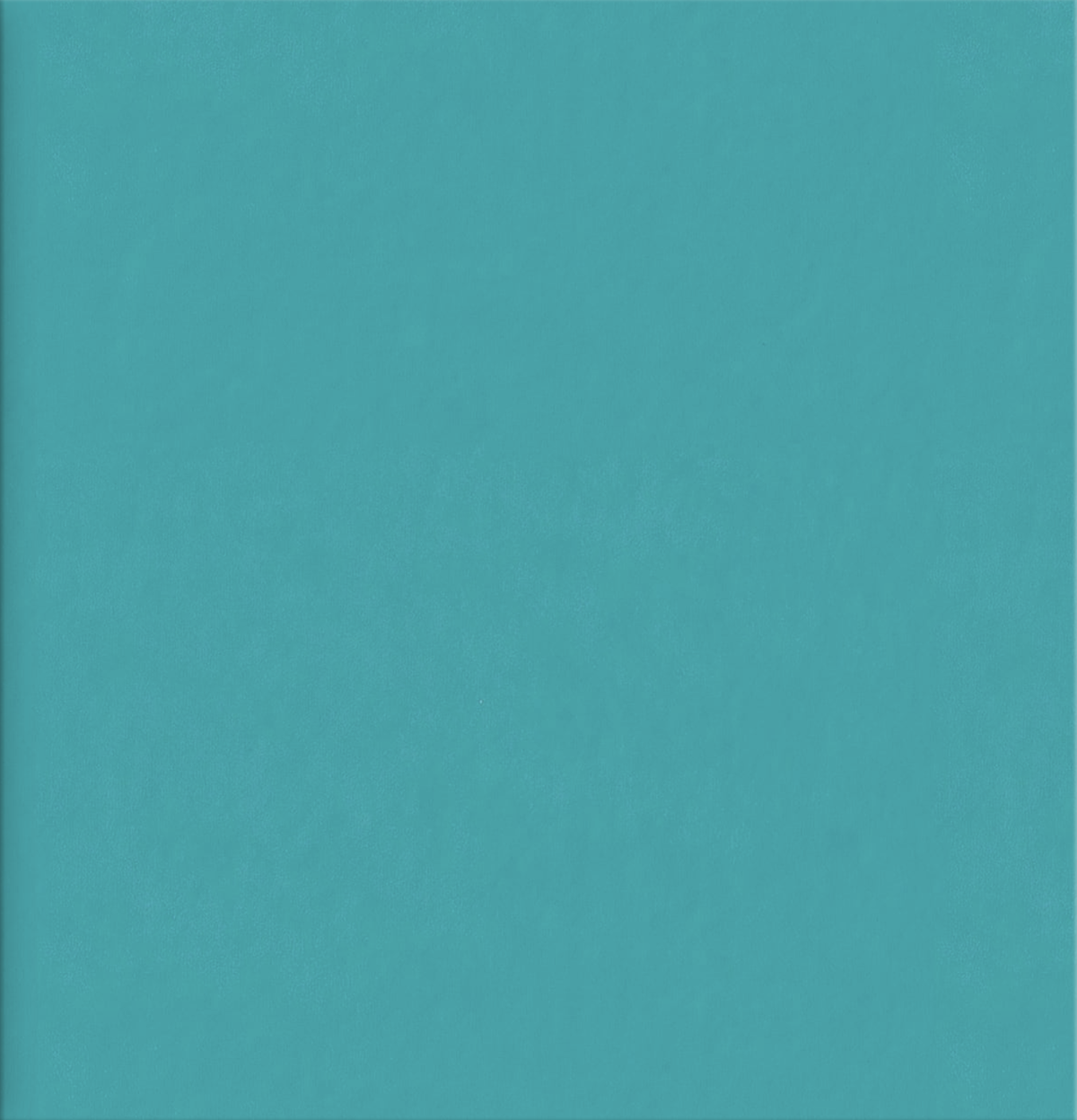 Photo Album Faux Leather Aqua.png