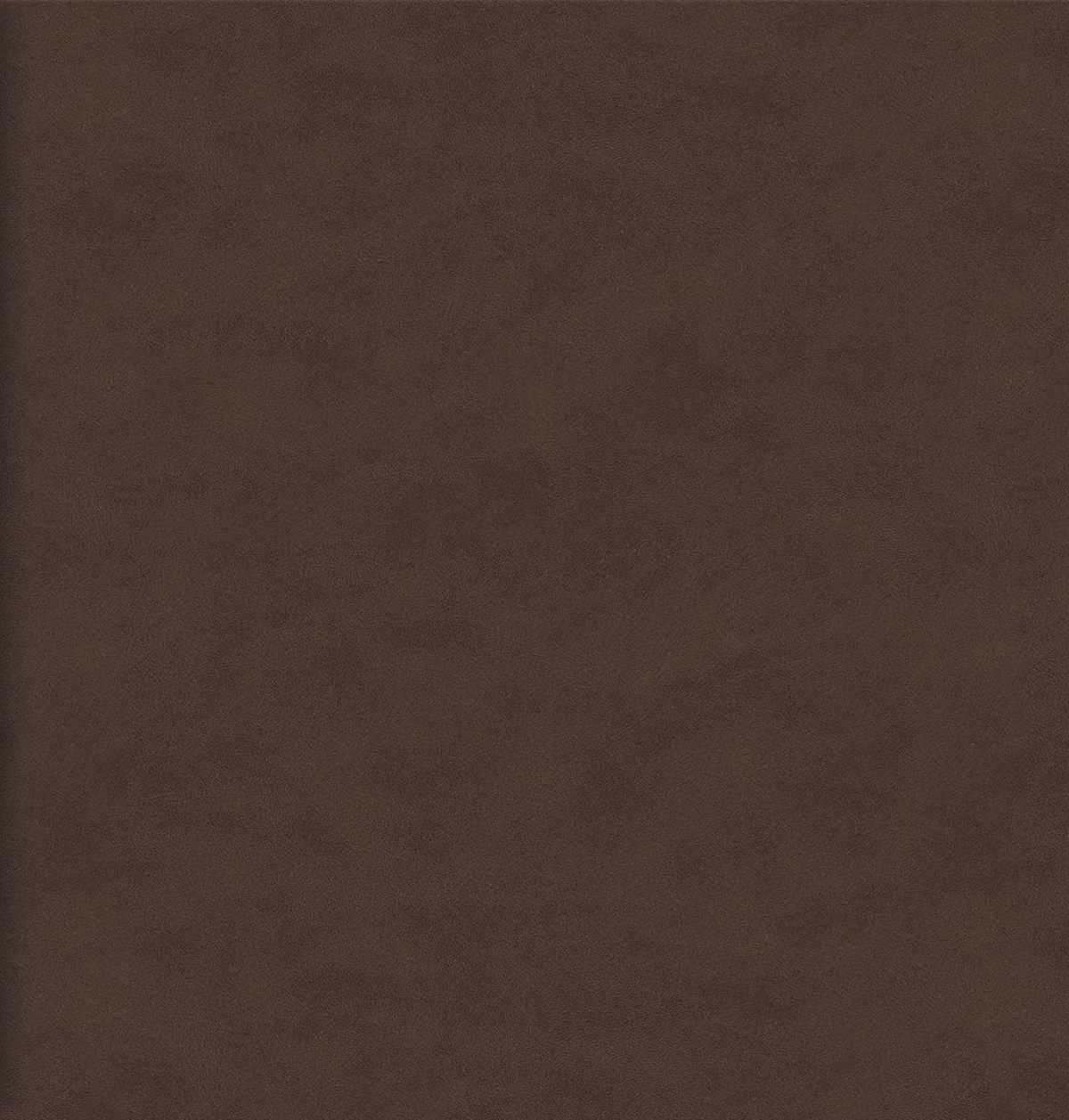 Photo Album Vintage Leather Aviator.png