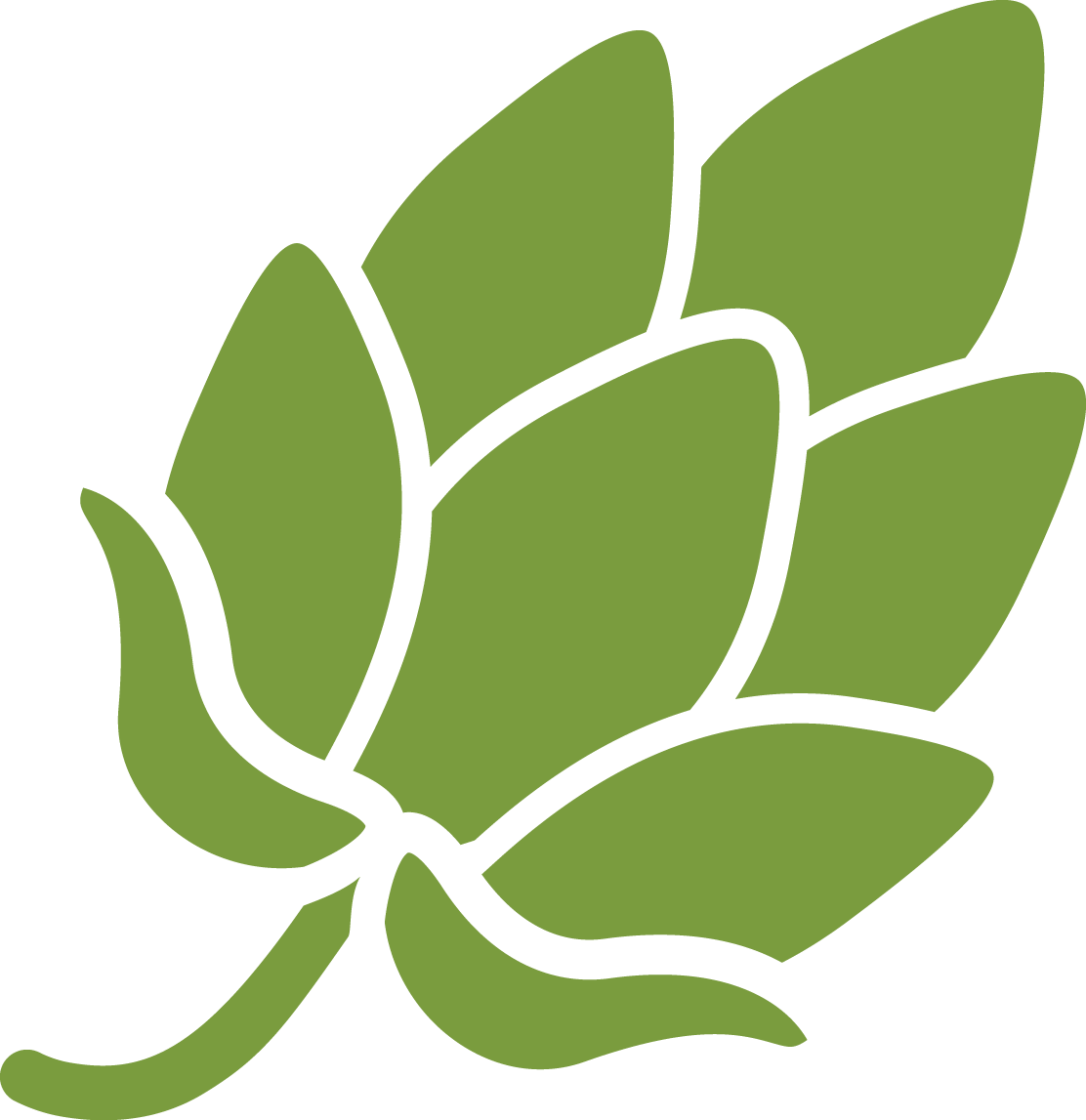515 Bingo