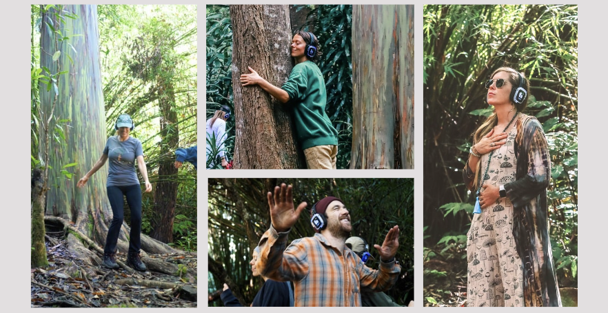 Exploring Within: A Music & Movement Wellness Journey at the Kona Cloud Forest Sanctuary