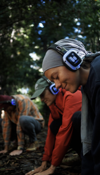 Exploring Within: A Music & Movement Wellness Journey at the Kona Cloud Forest Sanctuary
