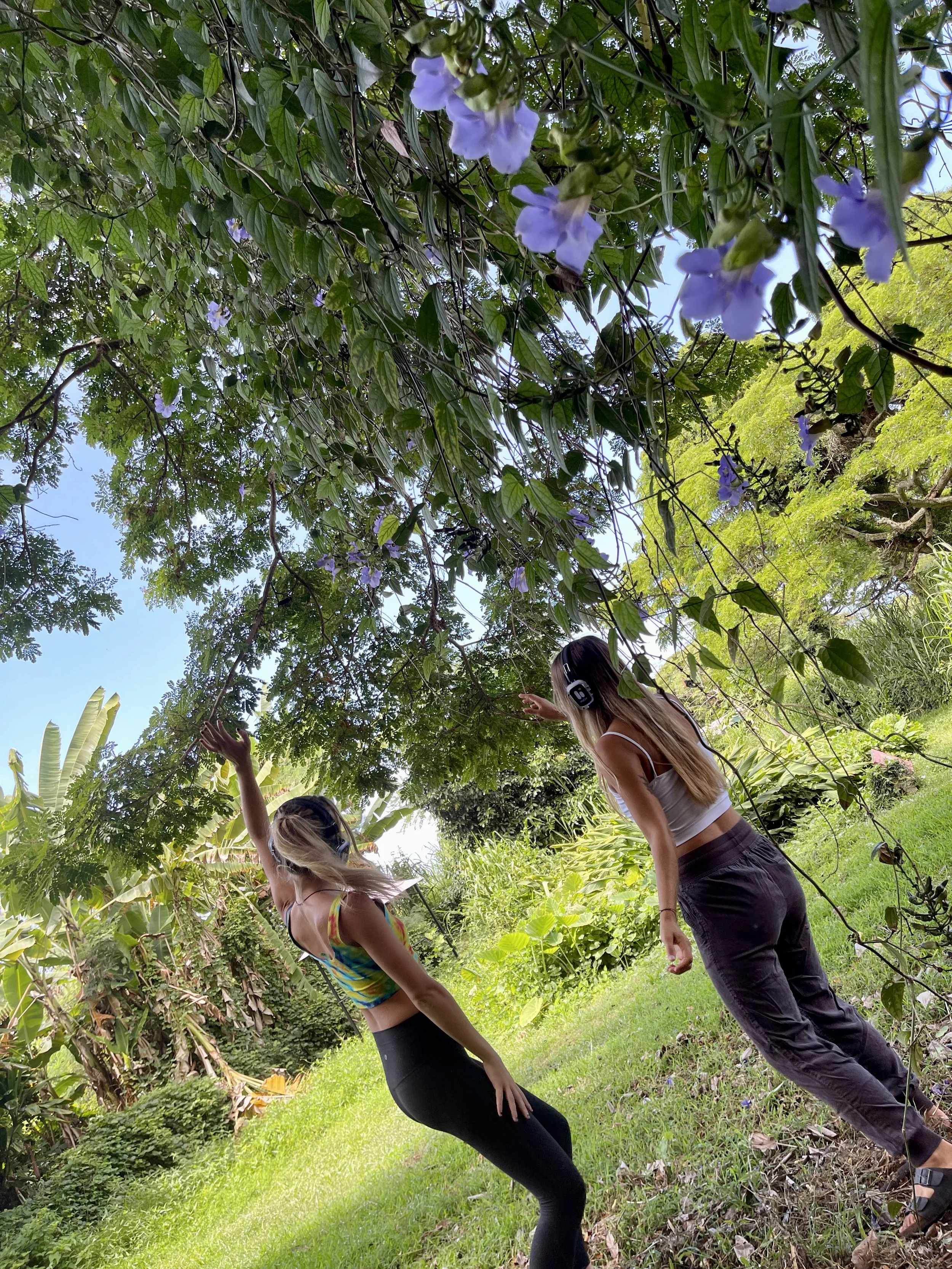 Exploring Within ONLINE: Virtual Sessions on Tuesdays 