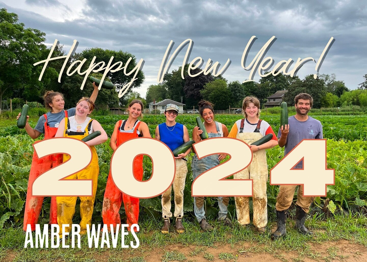 Happy New Year to our Amber Waves community! 

We couldn&rsquo;t have done it without all of YOU. Thanks for making our 15th season the best yet. We are excited for what 2024 will bring! 

Donate today to help us sustain and continue to grow into thi