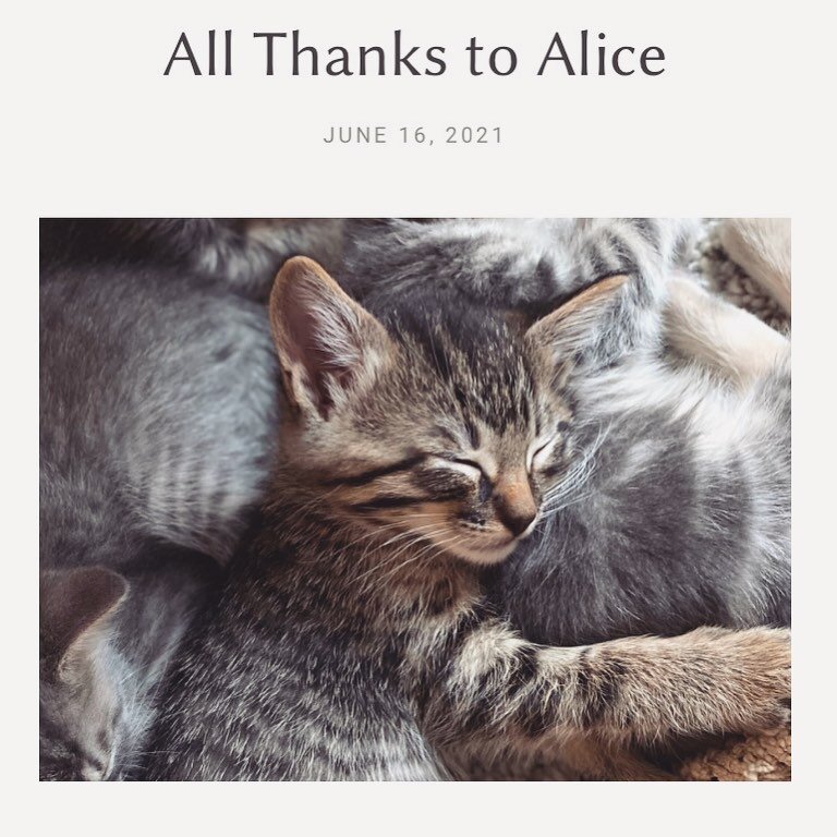 My next post &ldquo;All Thanks to Alice&rdquo; is up on the Hey Young Writer Blog! Check it out! 

&ldquo;Imagine you are holding a bunch of helium balloons, each balloon representing someone in your life you have difficulty letting go. One by one, f