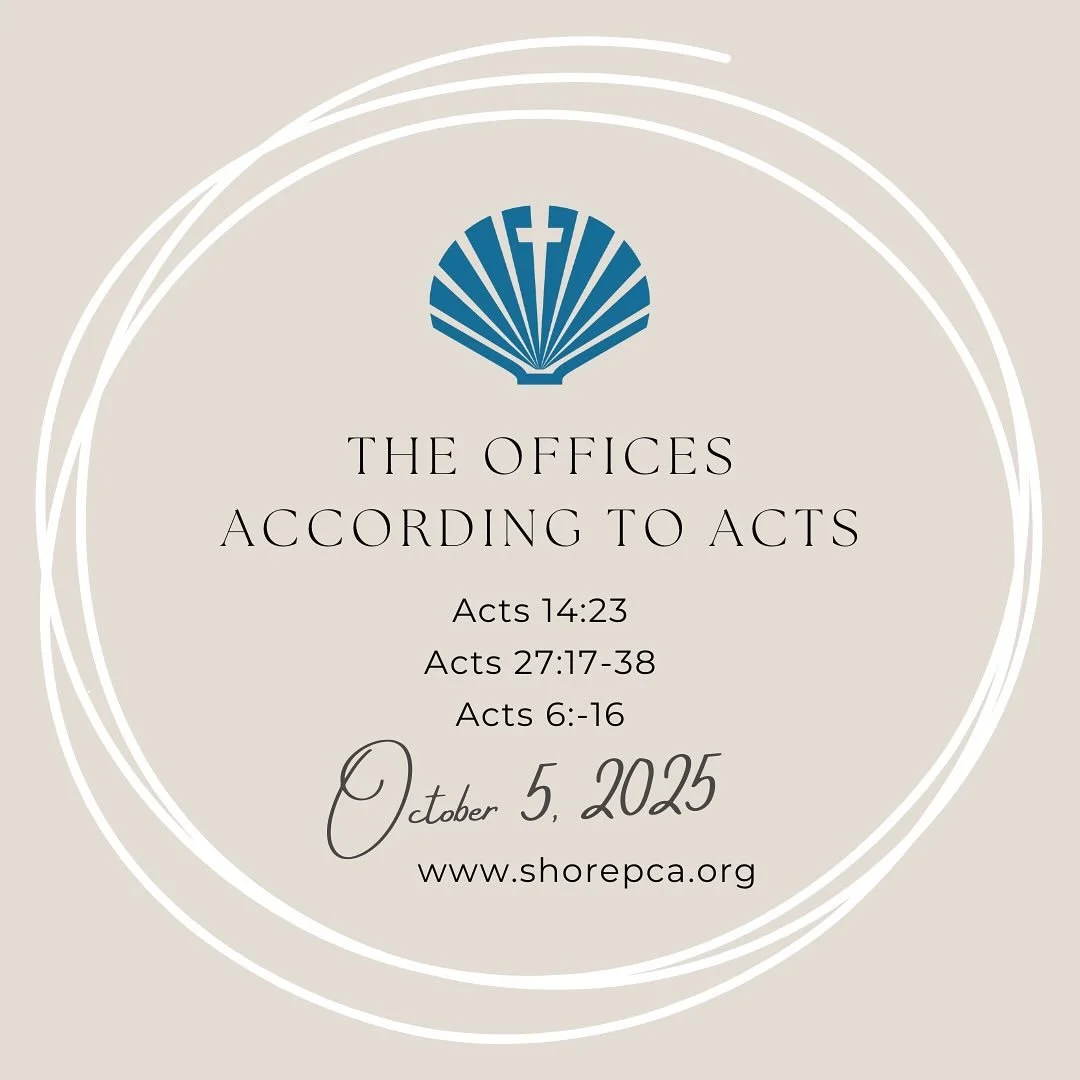 Join us for worship at the moose  at 10:30! Stay for a fellowship lunch! We can’t wait to see you! www.shorepca.org
