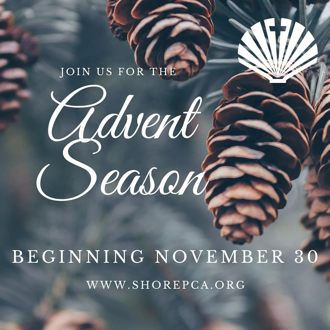 Join us this Advent season beginning Sunday, November 30 at Shore Presbyterian as we prepare our hearts for the coming of Christ. 🌟
In a world that feels weary and worn, Advent reminds us that Jesus stepped into our darkness to bring light, hope, an