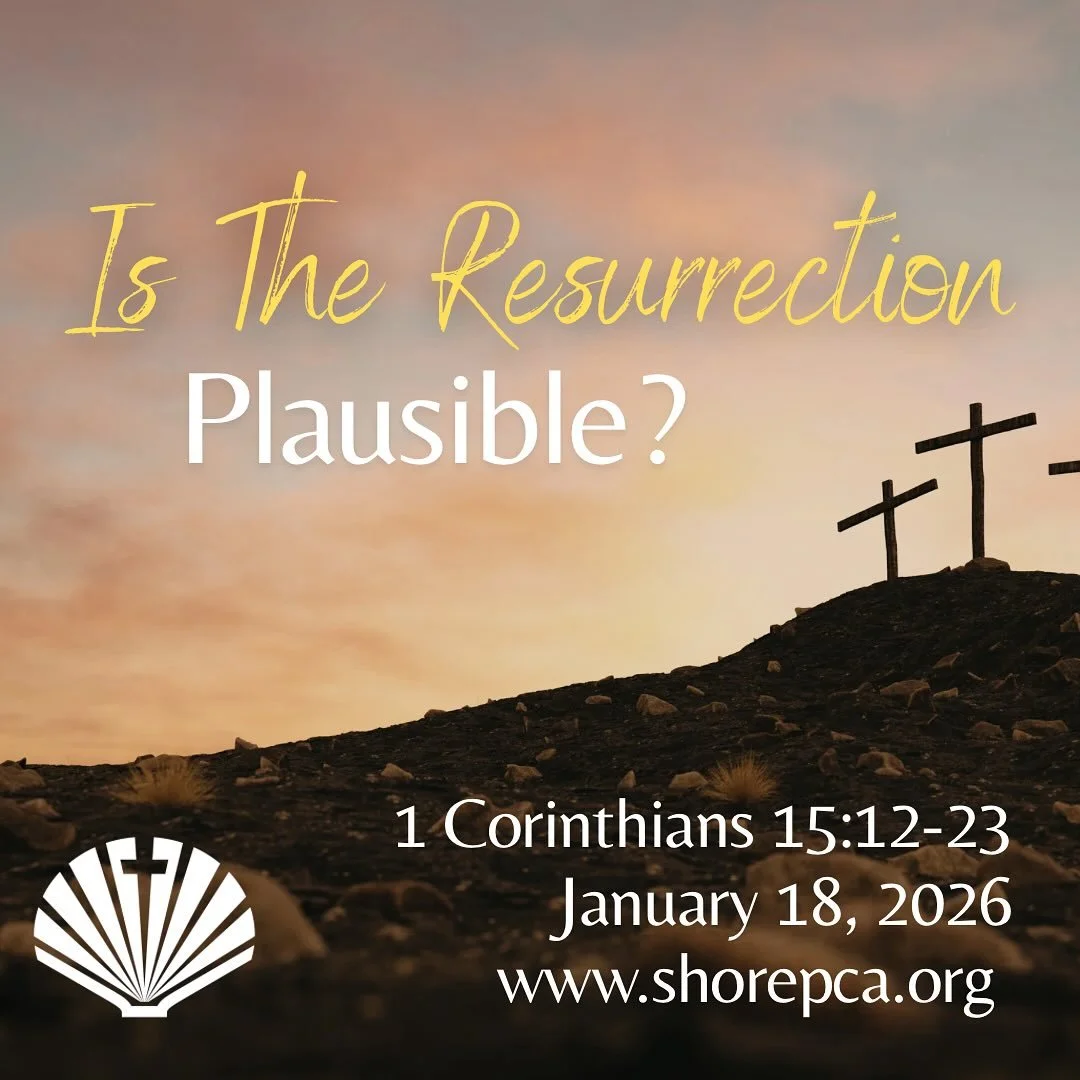 Join us for worship this week! See you at 10:30 at the Moose!  We can&rsquo;t wait to see you! #gogathergrow