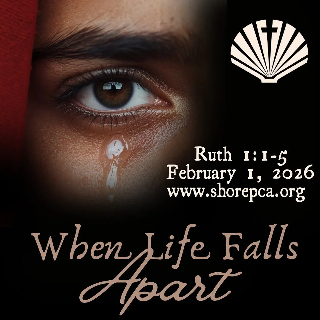 Join us for Worship as we kick out the book of Ruth! We can&rsquo;t wait to see you! #gogathergrow