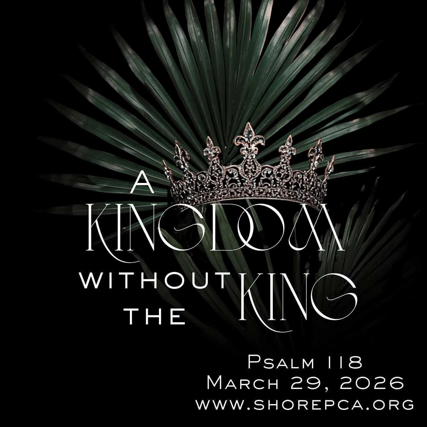 Join us for worship this Palm Sunday! We can&rsquo;t wait to see you!