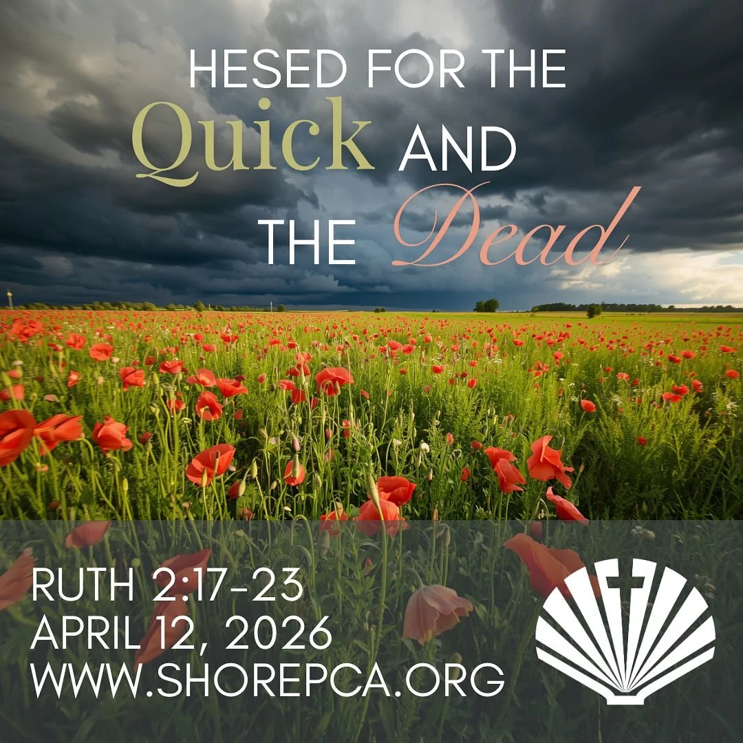 Join us at the Moose at 10:30 for worship!  We can&rsquo;t wait to see you!