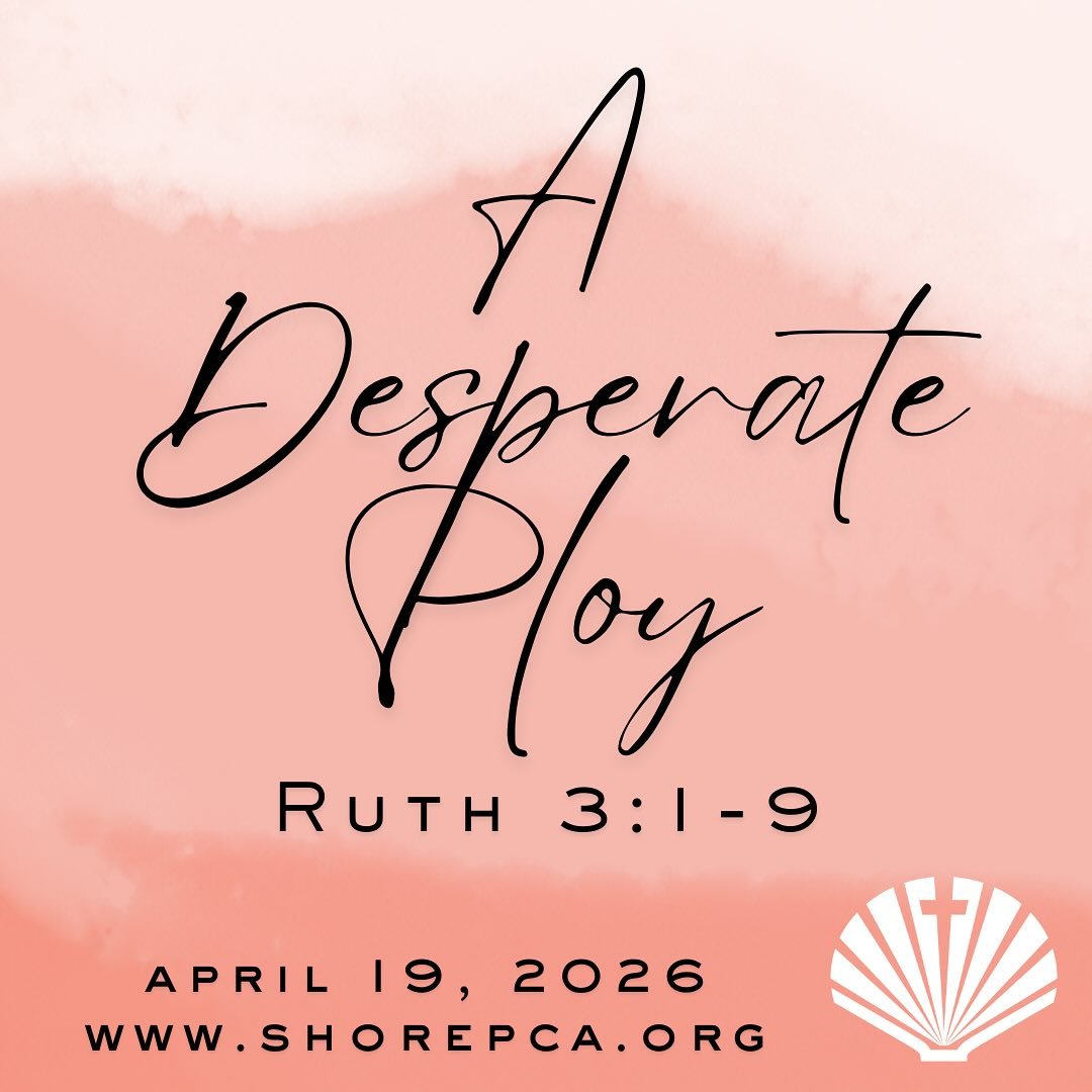 Join us for worship at the Moose at 10:30 am. We can&rsquo;t wait to see you!