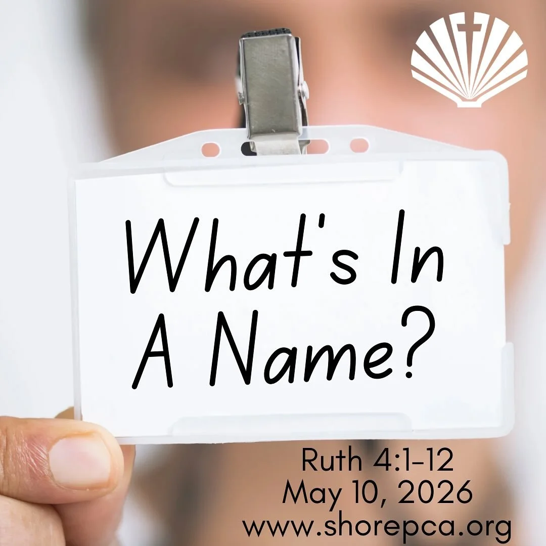 Join us for worship! Plan to join us at the Moose at 10:30!