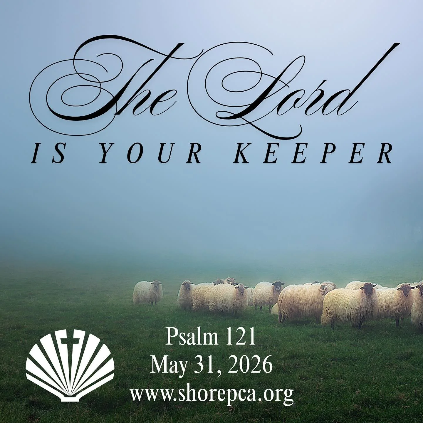 Join us for worship at the Moose at 10:30! We can&rsquo;t wait to see you!