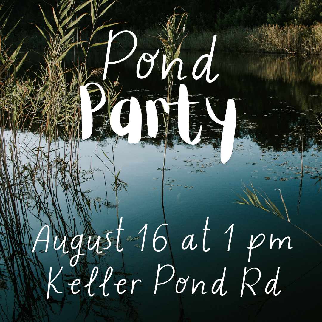 Pond (1).png