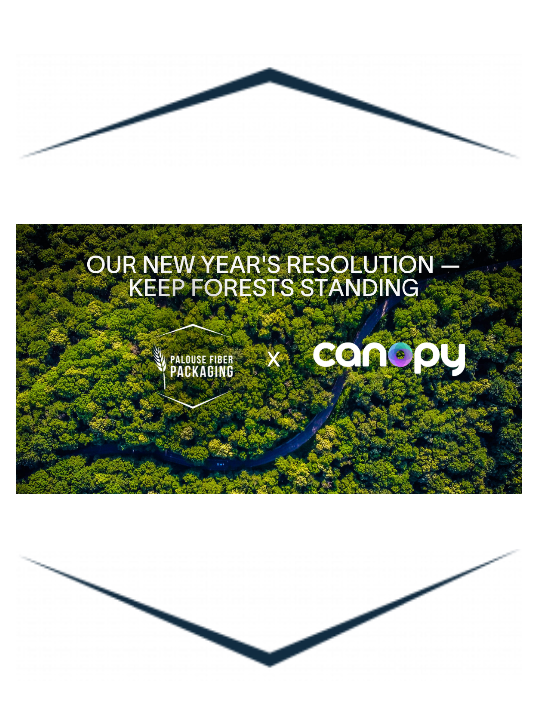 Palouse Fiber Packaging Joins Canopy to Transform Supply Chains and Protect Forests&nbsp;
