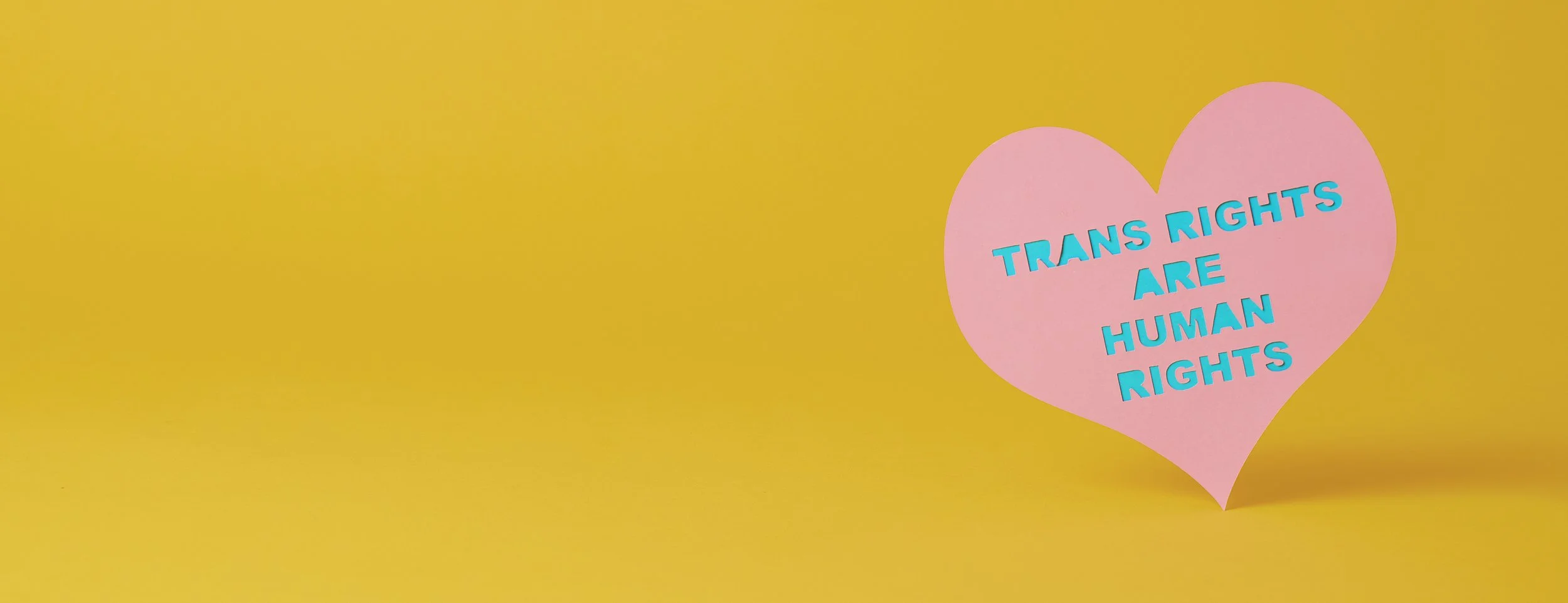 Transgender Day of Visibility: How to be an Ally in the Workplace and in Life